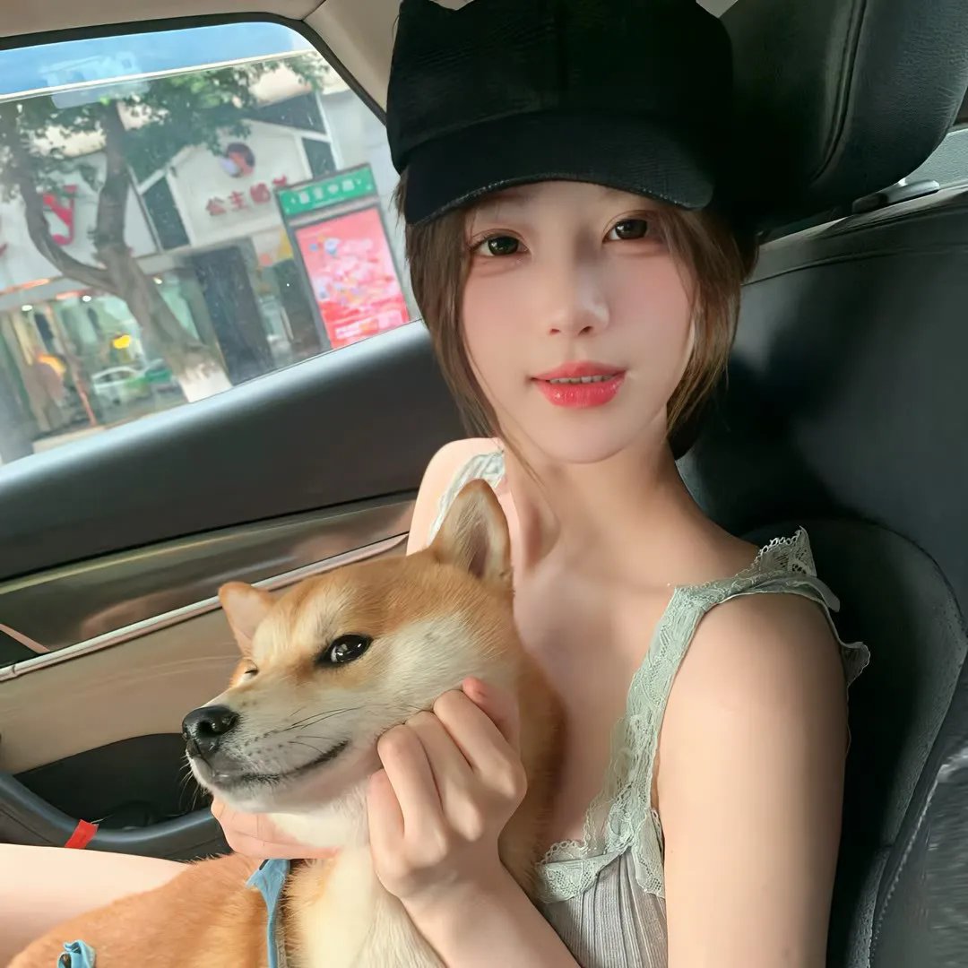 狗狗的旅程