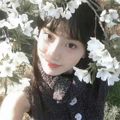 紫檀巷